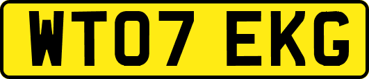 WT07EKG