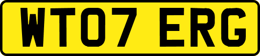 WT07ERG