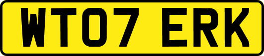 WT07ERK
