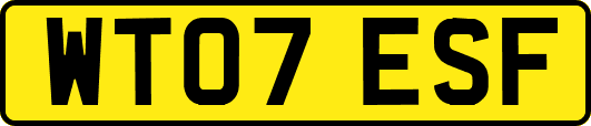 WT07ESF