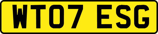 WT07ESG