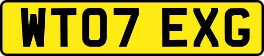 WT07EXG