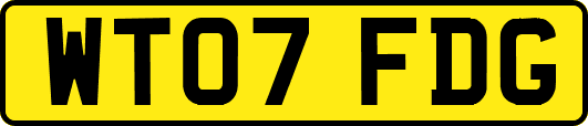 WT07FDG
