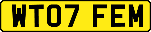 WT07FEM