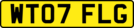 WT07FLG