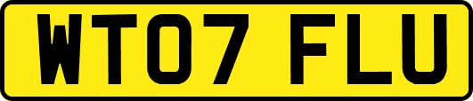 WT07FLU