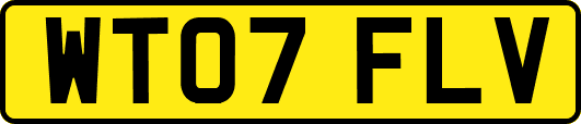 WT07FLV