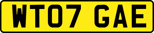 WT07GAE