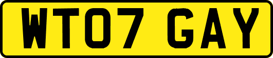 WT07GAY