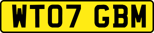 WT07GBM