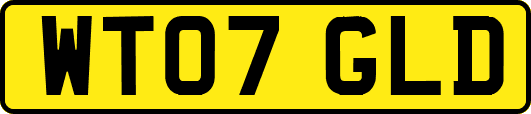 WT07GLD