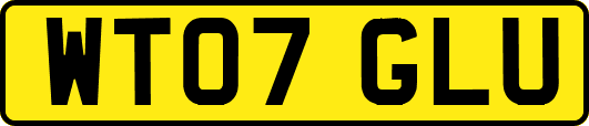 WT07GLU