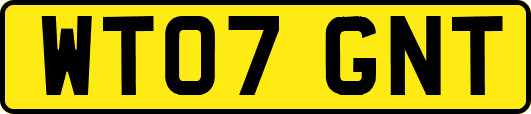 WT07GNT