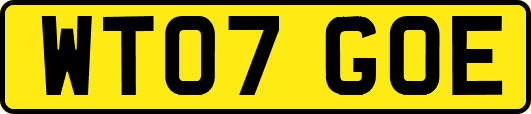 WT07GOE