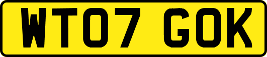 WT07GOK