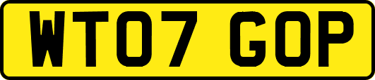 WT07GOP
