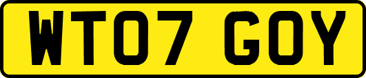 WT07GOY