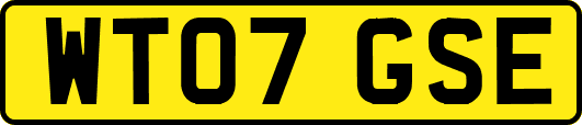 WT07GSE