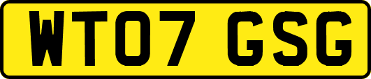 WT07GSG