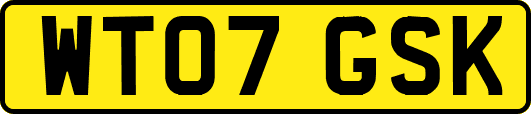WT07GSK