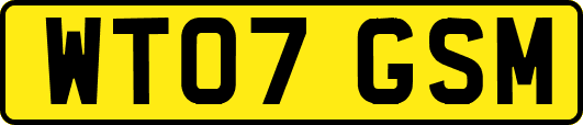WT07GSM