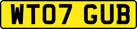 WT07GUB