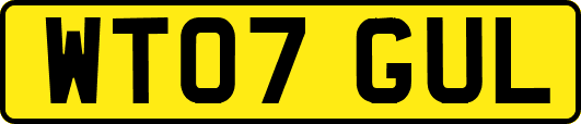 WT07GUL