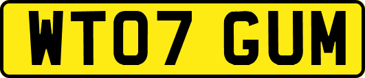 WT07GUM