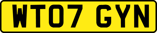 WT07GYN