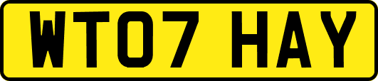 WT07HAY