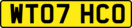 WT07HCO