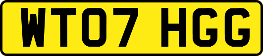 WT07HGG