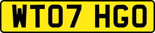 WT07HGO