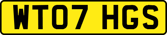 WT07HGS