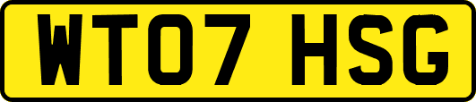 WT07HSG