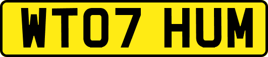WT07HUM