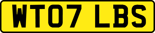 WT07LBS