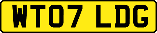 WT07LDG