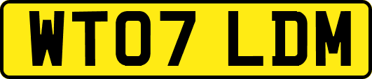 WT07LDM