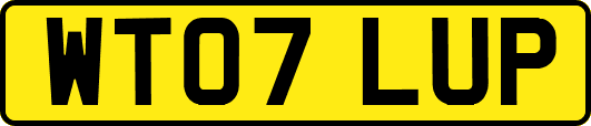 WT07LUP