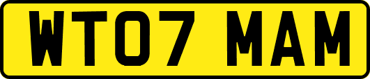 WT07MAM