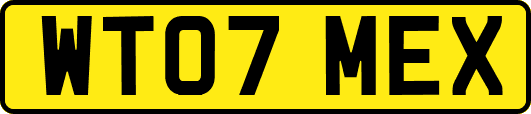 WT07MEX
