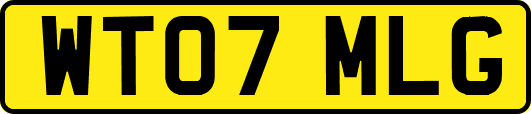 WT07MLG