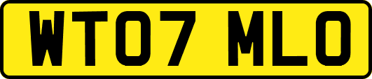 WT07MLO