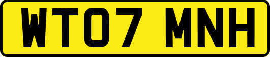 WT07MNH