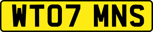 WT07MNS