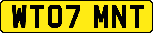 WT07MNT