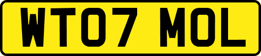 WT07MOL