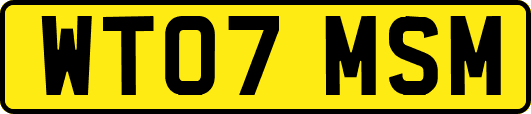 WT07MSM