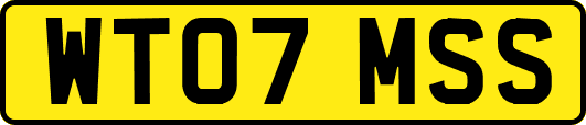 WT07MSS
